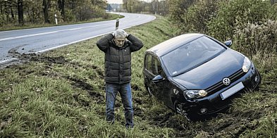 Trzy sarny, pijany rowerzysta i kierowca z Kolumbii