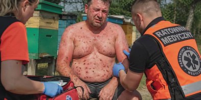 Pszczoły zaatakowały 38-latka. Nie było karetki!