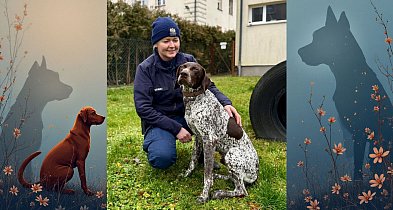 WADO - nowy pies w bytowskiej komendzie-22409