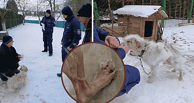 Lodowe PIEKŁO na metrowym łańcuchu. Interwencja w gminie Tuchomie