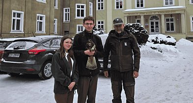 Niespodziewany gość w wolierze. Myszołów z Borowego Młyna wraca do sił