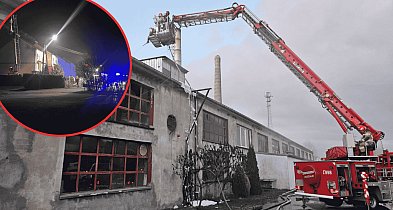 Pożar w tartaku w Kołczygłowach. Ogień objął halę, straty to nawet 200 tys. zł