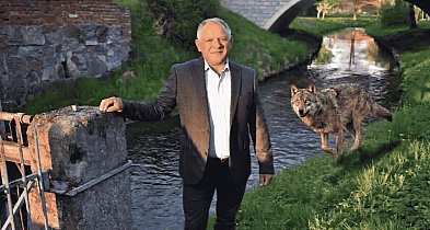 WALCZĄCY Z WILKAMI. Powiat bytowski chce zmian w ochronie gatunku