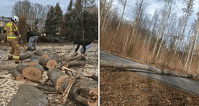 Wietrzny poniedziałek wielkanocny. Drzewa tarasowały drogi, wiatr zrywał dachy