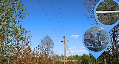 „Nie strażaków poraził prąd”. OSP prostuje głośną sprawę z Płotowa