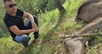 Dziecko łani płakało za matką. W Soszycy narasta spór o rezerwat i… WILKI