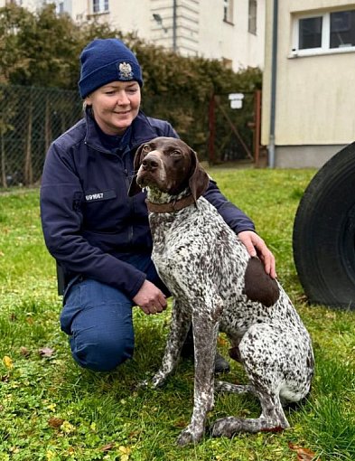 WADO - nowy pies w bytowskiej komendzie-22409