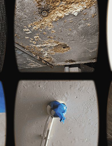 NIMFA to… PUSZKA PANDORY? Radni zbulwersowani, a Domżalski każe spojrzeć POD WANNĘ