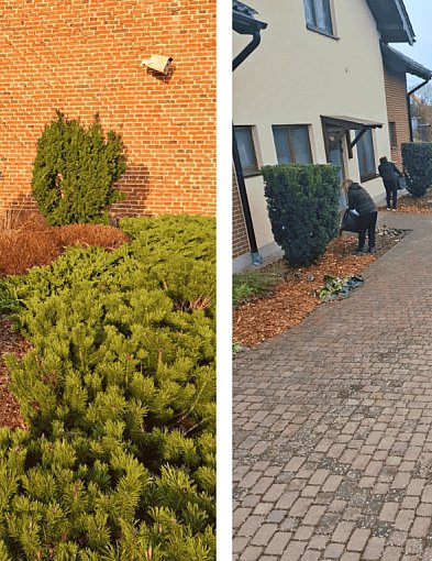 Zapceń znowu NA PLUS. Wiosenna akcja, która robi różnicę