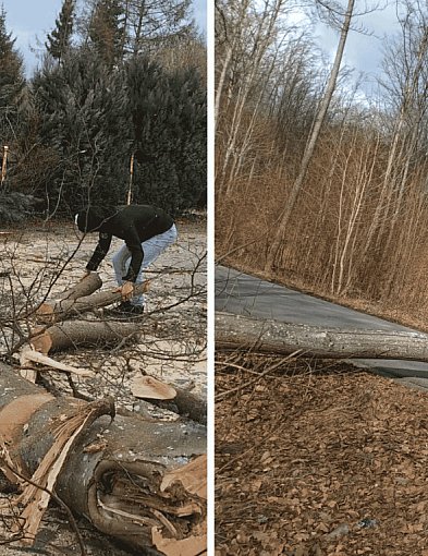 Wietrzny poniedziałek wielkanocny. Drzewa tarasowały drogi, wiatr zrywał dachy