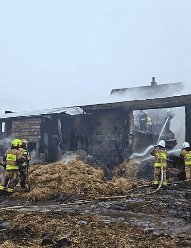 Bochowo walczyło z ogniem przez całą noc. Uratowano 17 sztuk bydła