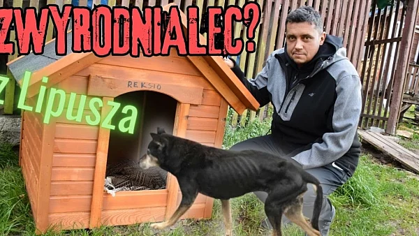 ZWYRODNIALEC z urzędu gminy? Urzędnik czuje się POMÓWIONY