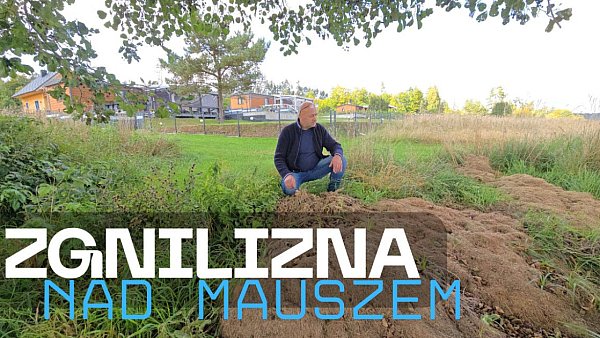 Zielona ZGNILIZNA nad jeziorem Mausz