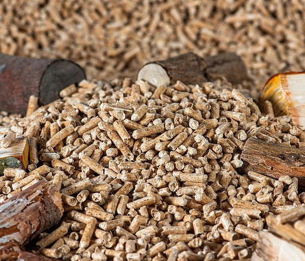 Drożeje popularny opał. Miliony Polaków dostaną po kieszeni tej zimy-21744