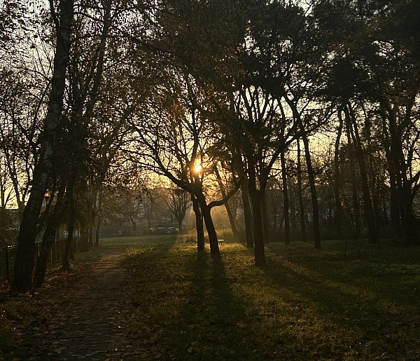 Nadchodzi najkrótszy dzień w 2025 roku. Sprawdź, kiedy przypadnie-22478