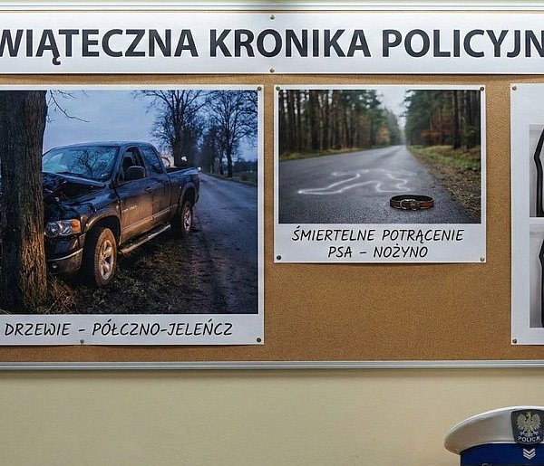 Świąteczna KRONIKA POLICYJNA. Rozbity DODGE RAM i ŚMIERTELNE POTRĄCENIE PSA-22528