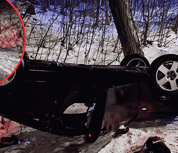 BRAWURA i marznący deszcz. Audi w rowie, a prawo jazdy „w zawieszeniu”