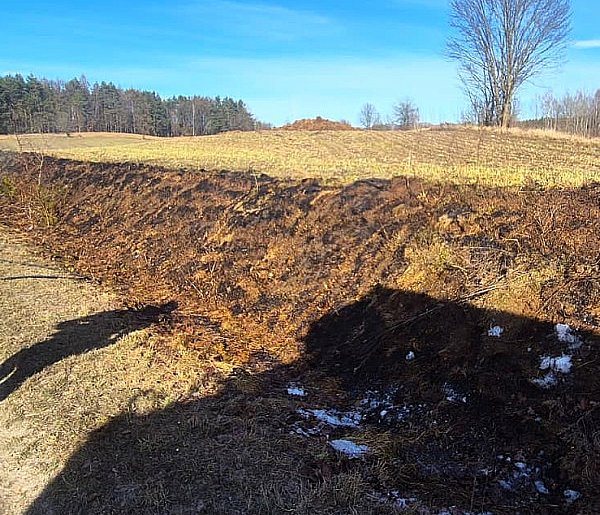 Wiosenne słońce budzi przyrodę i… bezmyślność. Zaczęły się POŻARY TRAW