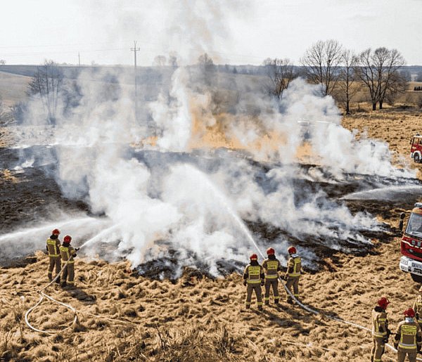 Pożar trawy w Grądzieniu. Strażacy ruszyli do akcji