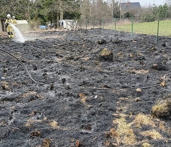 Seria pożarów traw w powiecie bytowskim. Strażacy APELUJĄ!