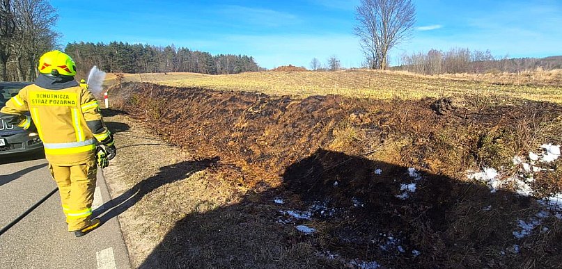 Wiosenne słońce budzi przyrodę i… bezmyślność. Zaczęły się POŻARY TRAW