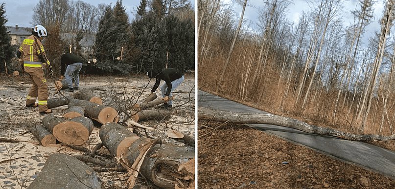 Wietrzny poniedziałek wielkanocny. Drzewa tarasowały drogi, wiatr zrywał dachy