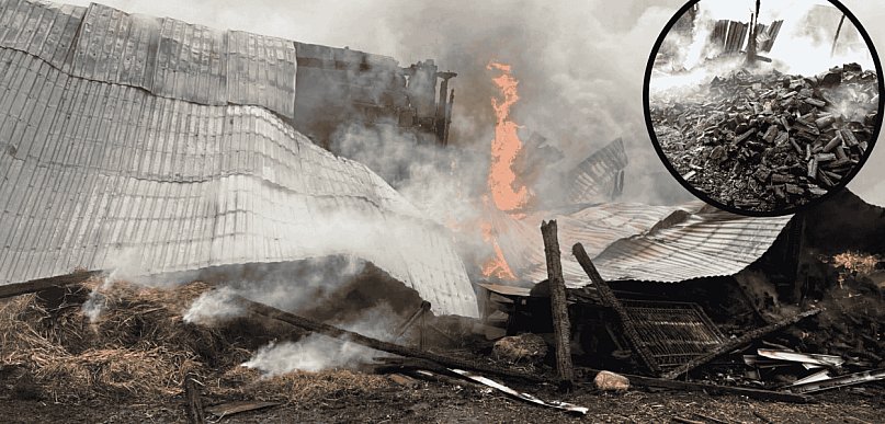 POŻAR stodoły w Bochowie. Ogień objął cały budynek, w środku zwierzęta