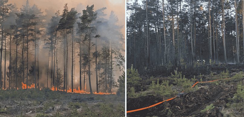 Wielki pożar lasu pod Sylcznem. Płonęło 7 hektarów, w akcji 24 zastępy