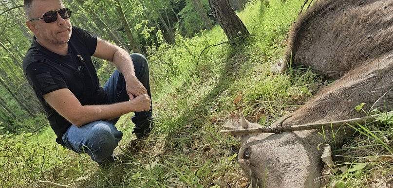 Dziecko łani płakało za matką. W Soszycy narasta spór o rezerwat i… WILKI