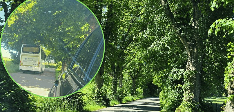 Droga zarasta, znaki znikają w krzakach. ZDP odpowiada: odrosty zostaną wycięte