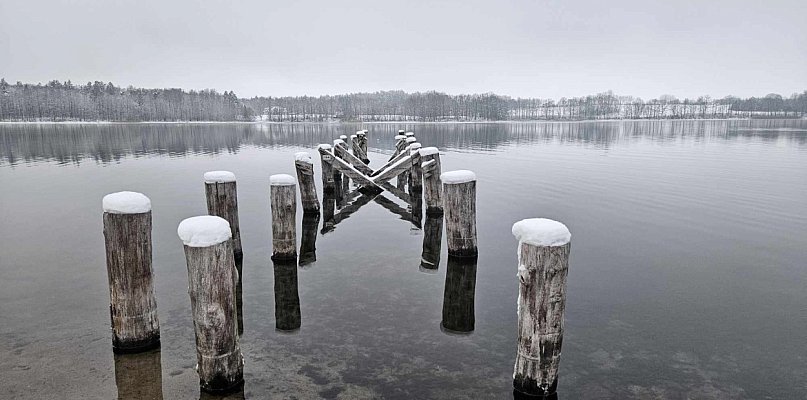 JELEŃ BEZ POMOSTU. Na pewno nie w 2026 roku - 22374