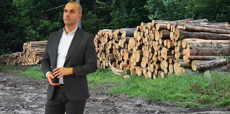 PARADOKS w zalesionym powiecie. Brakuje chętnych do nauki zawodów drzewnych - 22449