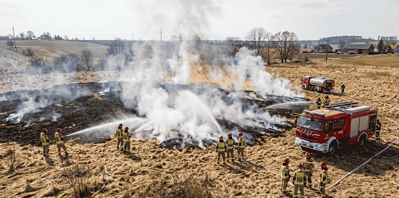 Pożar trawy w Grądzieniu. Strażacy ruszyli do akcji