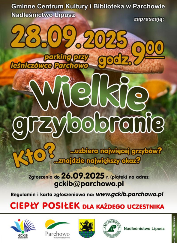 WIELKIE GRZYBOBRANIE W GMINIE PARCHOWO
