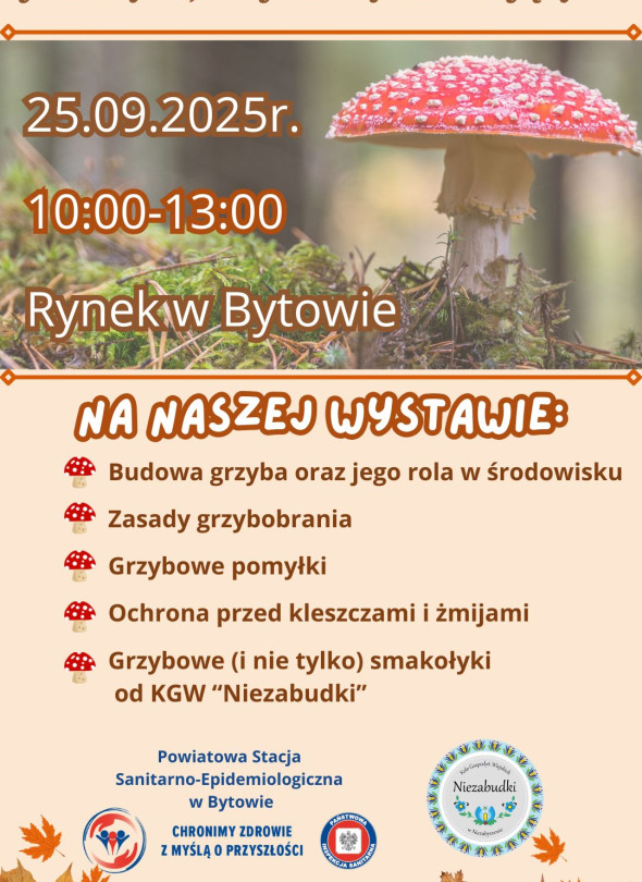 Wystawa grzybów na bytowskim rynku