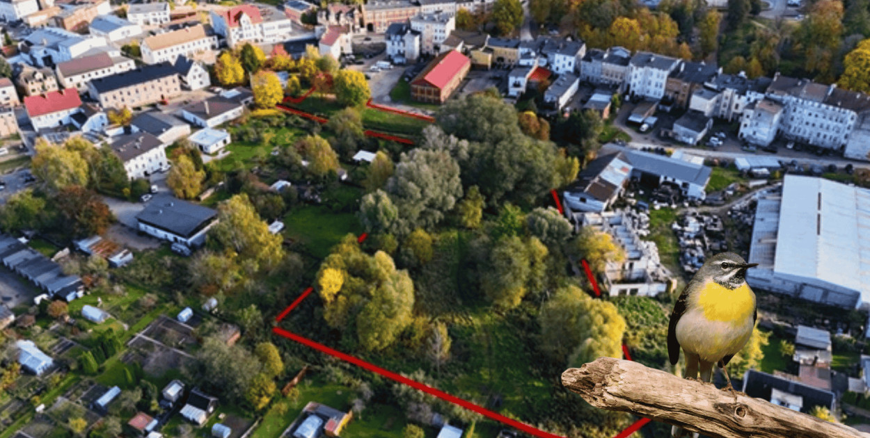 ZALEJĄ teren przy ul. Drzymały. 9 MLN LITRÓW wody i… pliszka w rurze PCV