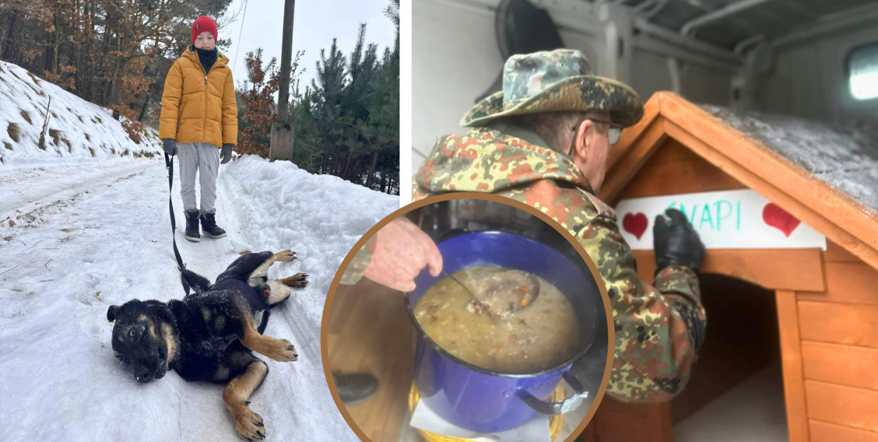 Bytowskie SERCA kontra "biznes na psach". U nas futrzaki mają RAJ, gdy inni liczą