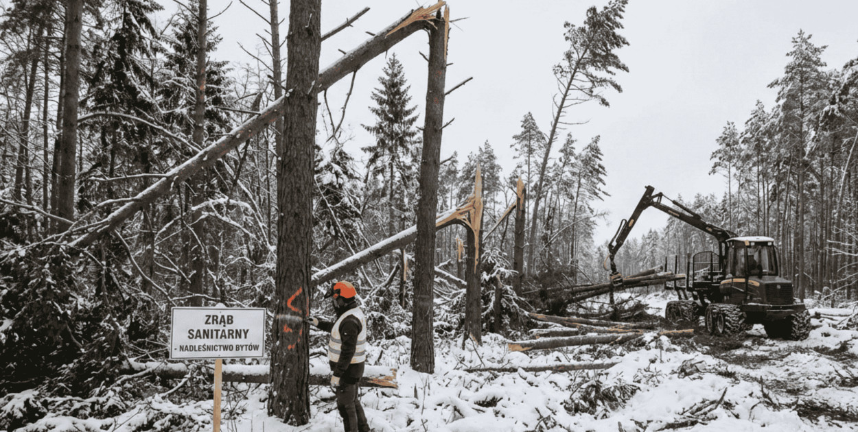 WODY I LASY POD KONTROLĄ. Raport bytowskiego starostwa