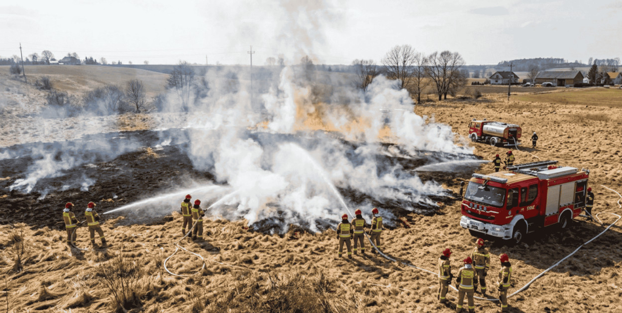 Pożar trawy w Grądzieniu. Strażacy ruszyli do akcji