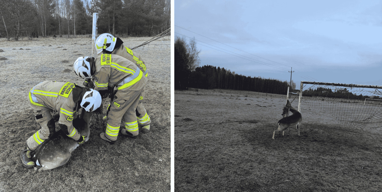 Alkohol, wypadki i policyjne interwencje. Niespokojny weekend