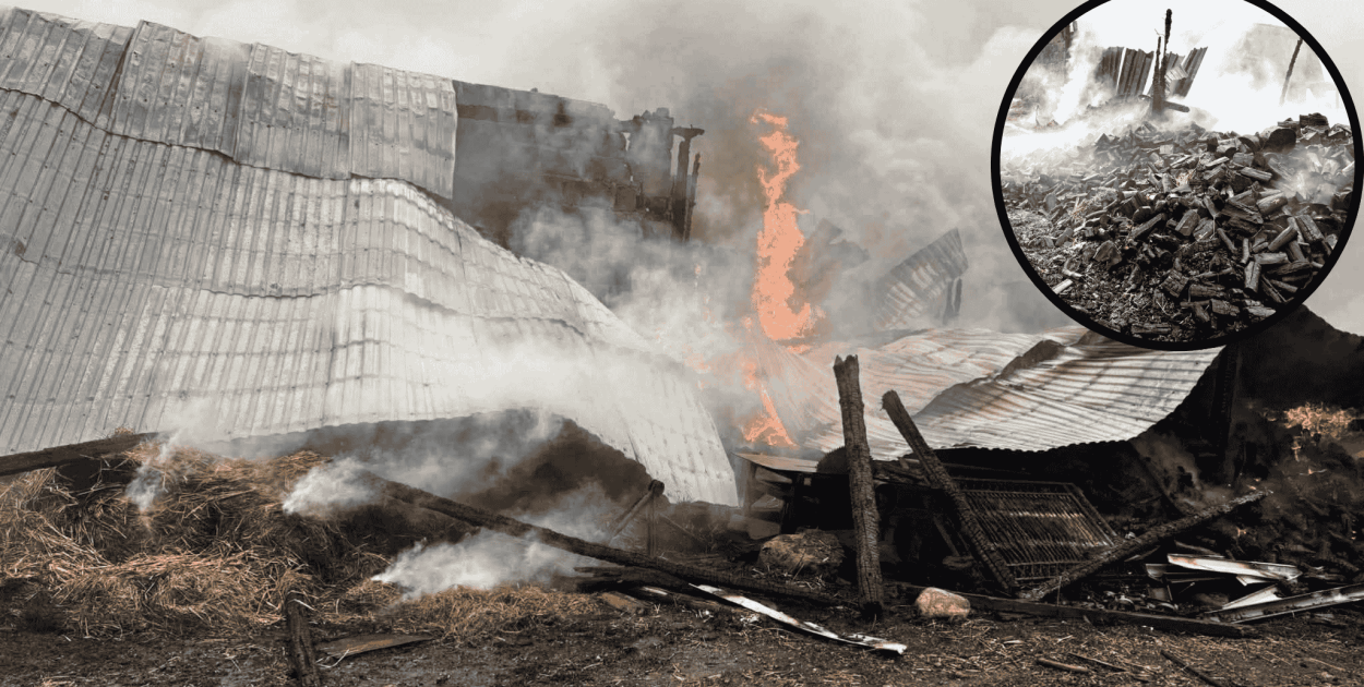 POŻAR stodoły w Bochowie. Ogień objął cały budynek, w środku zwierzęta