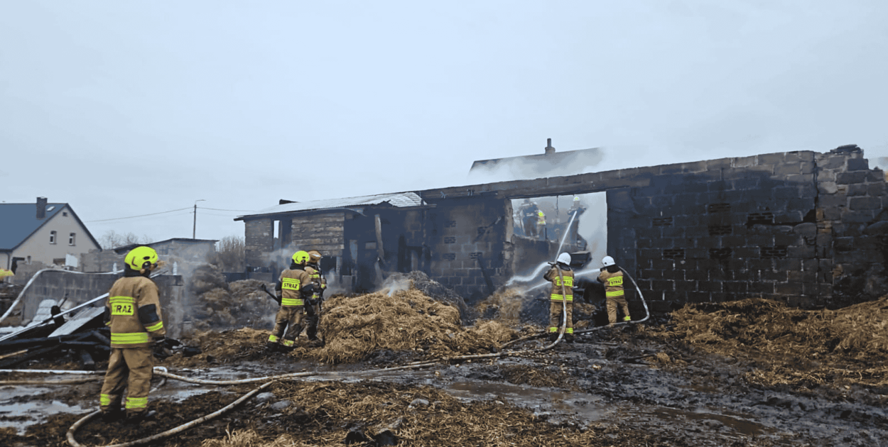 Bochowo walczyło z ogniem przez całą noc. Uratowano 17 sztuk bydła